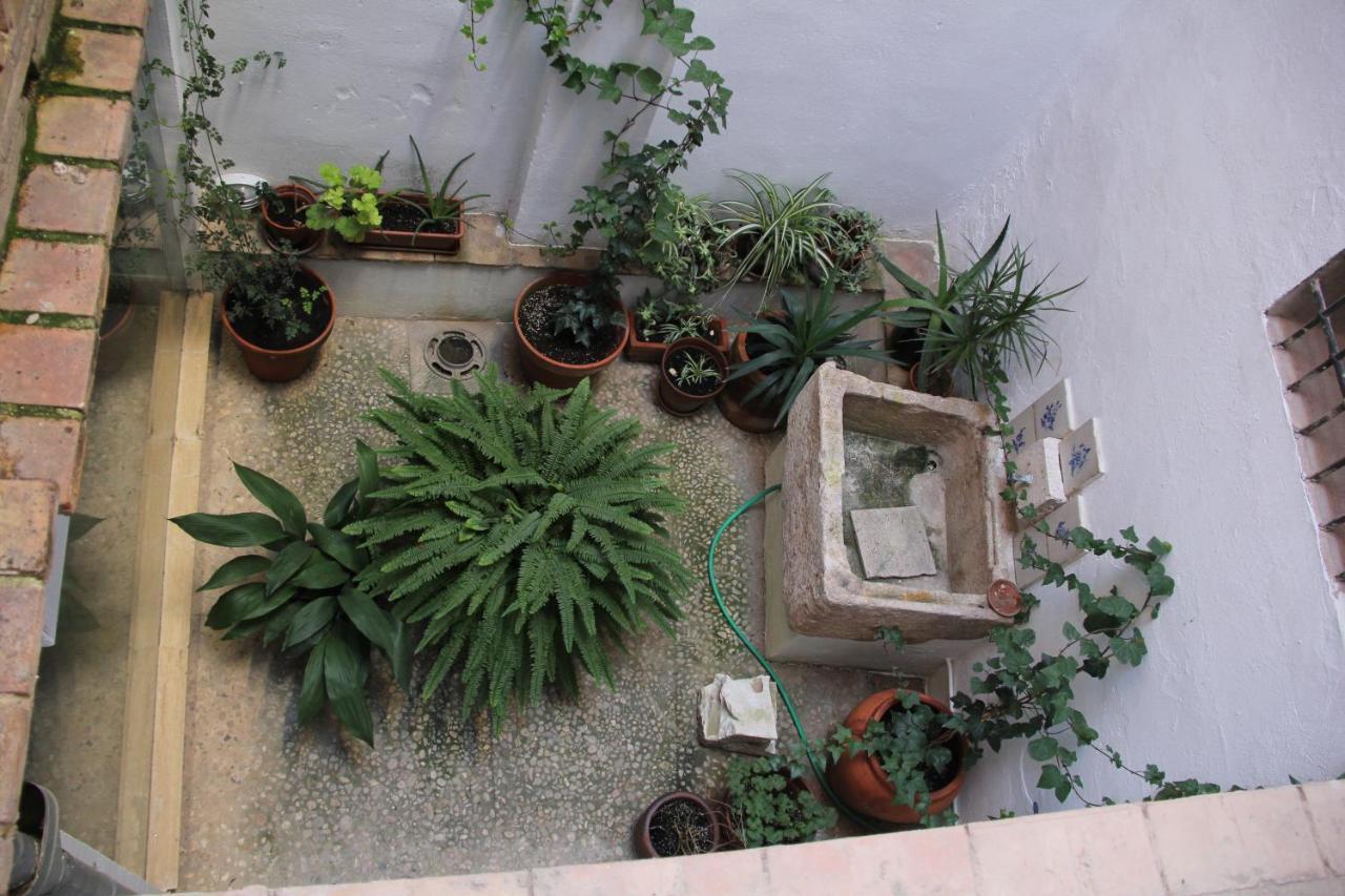 Las Coles Apartasuites Xàtiva Dış mekan fotoğraf
