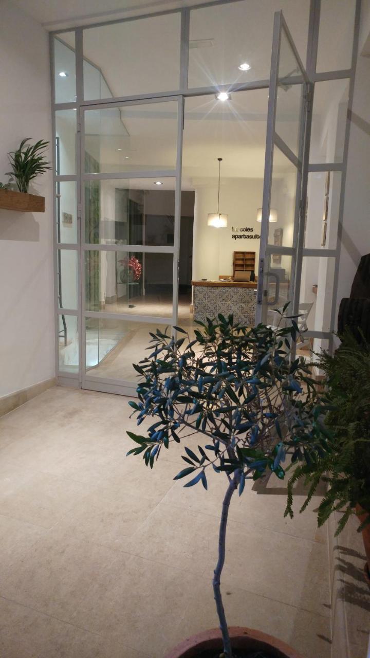 Las Coles Apartasuites Xàtiva Dış mekan fotoğraf