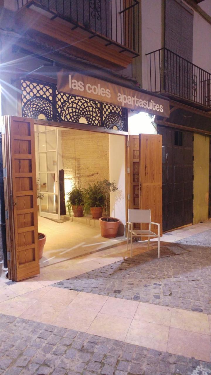 Las Coles Apartasuites Xàtiva Dış mekan fotoğraf